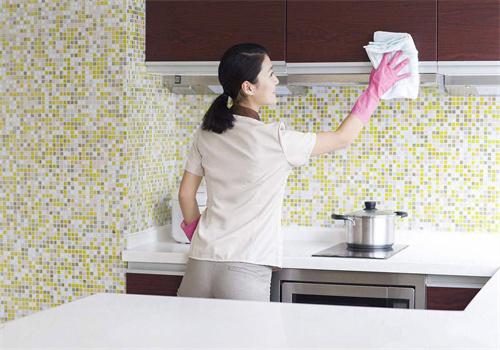 绿蛙家政 专业家政服务，让生活更轻松